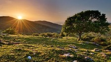 Landscape nature trees grass sunset r clear Custom Gaming Mat Desk picture
