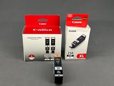 4 Canon Creative Park Premium Black Ink Cartridges 250XL PGBK New and Sealed picture