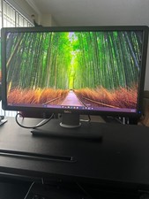 Dell P2212H 22