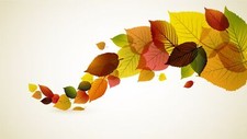 Landscape fall leaves minimalism simple background Custom Gaming Mat Desk picture