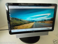 Dell 19