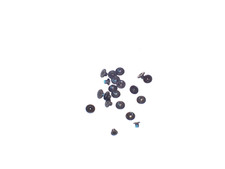 New Dell OEM Latitude 5430 E5430 Screw set For Keyboard / Metal Plate picture