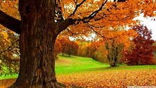 Landscape fall grass fallen leaves hills Custom Gaming Mat Desk picture