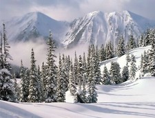 Landscape nature winter trees snow cold ice frost Custom Gaming Mat Desk picture