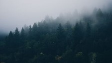 Landscape forest mist spruce nature Custom Gaming Mat Desk picture