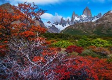 Landscape fall mountains forest patagonia trees snowy Custom Gaming Mat Desk picture