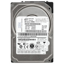 IBM 73GB 10K SAS 3Gb/s 2.5