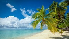 Landscape nature tropical island beach palm trees white Custom Gaming Mat Desk picture