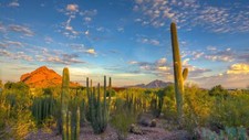 Landscape nature desert cactus mountains arizona usa Custom Gaming Mat Desk picture