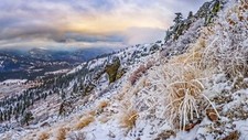 Landscape winter snow Custom Gaming Mat Desk picture