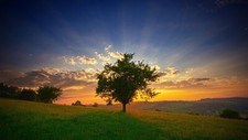Landscape nature trees sky clouds field sunlight grass Custom Gaming Mat Desk picture