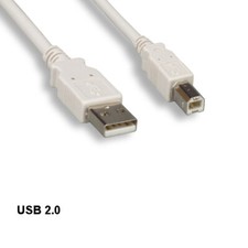 Beige 10 feet USB 2.0 A to B Cable 28AWG 480Mbps Scanner Printer HDD Sync Charge picture