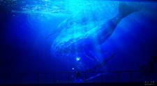 Landscape  pixiv whale ocean view water art Custom Gaming Mat Desk picture