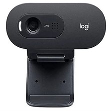 Logitech C505e 720p HD Webcam USB Mic PC Mac Grey picture