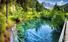 Landscape nature pond forest walkway shrubs trees water Custom Gaming Mat Desk picture