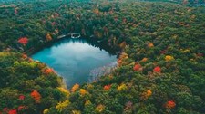Landscape nature water lake michigan forest trees Custom Gaming Mat Desk picture