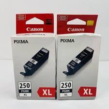 X2 Genuine Canon Pixma 250 PGBK XL Black Ink Tank Cartridges PGI-250XL LOT OF 2 picture