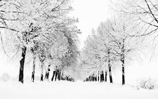 Landscape snow trees nature winter Custom Gaming Mat Desk picture