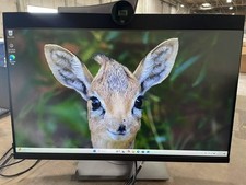 Dell P2424HEB 24