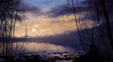 Landscape  art sky birds nature clouds sun lake Custom Gaming Mat Desk picture