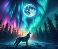 NORTHERN LIGHTS WOLF MOON PINE TREE FOREST COMPUTER MOUSE PAD 9.25 X 7.75 INCHES picture