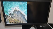 EIZO RadiForce RX850 Hi-Res 8 MP 31.3