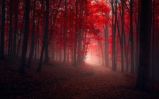 Landscape nature trees fall red path leaves mist forest Custom Gaming Mat Desk picture