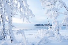 Landscape canada nature cold frost ice snow Custom Gaming Mat Desk picture