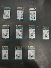 Lot of 10 Kioxia 256GB Mixed Models - Wiped and Tested picture
