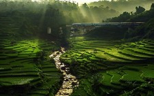 Landscape nature rice fields river sun rays field Custom Gaming Mat Desk picture