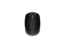 Logitech M170 910-004940 Black 1 x Wheel USB RF Wireless Mouse picture