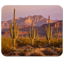 HAOSSUW Mouse Pad, Arizona Saguaro 9.5x7.9 picture