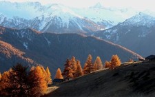 Landscape nature mountains forest snowy peak trees fall Custom Gaming Mat Desk picture