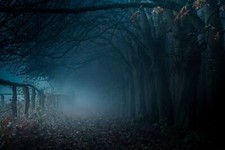 Landscape path mist trees fall fence blue nature leaves Custom Gaming Mat Desk picture