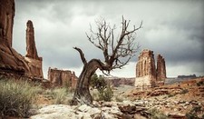 Landscape usa utah rocks nature desert overcast rock Custom Gaming Mat Desk picture