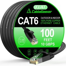 Cat 6 Ethernet Cable 100 ft, Indoor&Outdoor, High Speed 10Gbps Flat Internet ... picture
