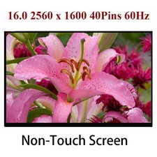 NE160QDM-N63 V8.0 FRU:5D10V82383 fit B160QAN02.M MNG007DA1-4 LCD SCREEN PANEL picture