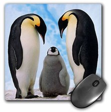 3dRose Emperor Penguin Family MousePad picture