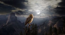 Landscape dark moon fantasy art animals birds Custom Gaming Mat Desk picture