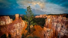 Landscape bryce canyon national park utah usa nature Custom Gaming Mat Desk picture