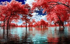 Landscape nature surreal trees water park clouds pink Custom Gaming Mat Desk picture