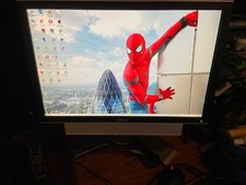 Dell Ultrasharp 20
