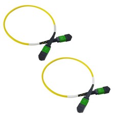 GwliUni 2PCS MPO SM 12Core 0.98ft Cable picture