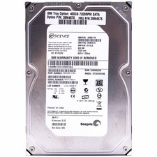 Seagate ST3400832NS HDD Hard Disk 3.5
