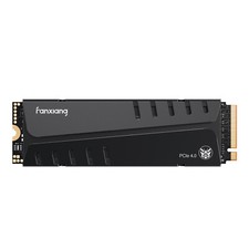 Fanxiang PS5 SSD 1TB 2TB 4TB Heatsink M.2 NVMe Internal Solid State Drives Lot picture