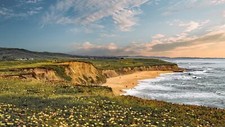 Landscape nature flowers yellow beach coast clouds sky Custom Gaming Mat Desk picture