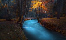 Landscape park dark fall trees long exposure river Custom Gaming Mat Desk picture