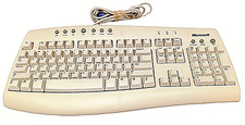 Genuine Microsoft Internet Keyboard Part X08-01157 RT9443 PS/2 Vintage Clicky picture