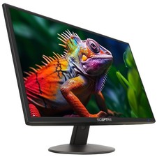 Sceptre E248W-19203R 24