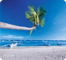 WB  Allsop 31621 Naturesmart Mouse Pad - Outrigger Beach picture